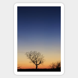 Kansas Sunset at Twilight with a Tree silhouette Sticker